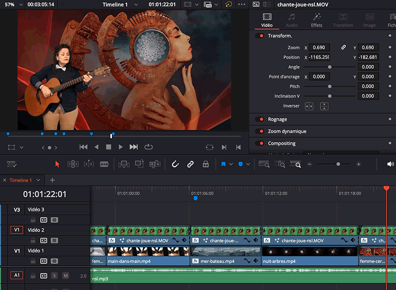 nsl_davinci_resolve